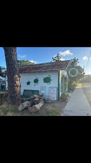 Living Cedar Key on Reels