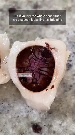 Delicious Chocolate Making Tutorial - Part 1