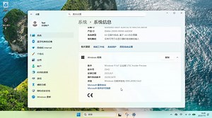 Windows 11 LTSC 2025？Windows 11 Iot LTSC 25H2 Dev渠道测评。
