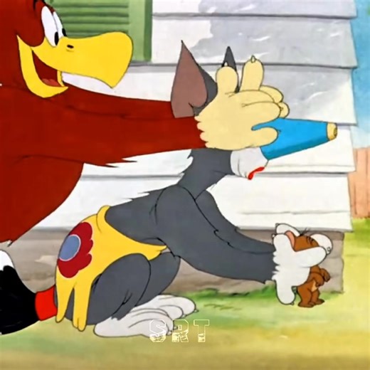 Tom vs Buzzard: The Ultimate Cartoon Showdown