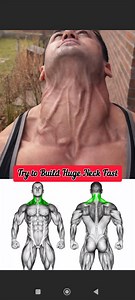 Huge Neck Workout 🔥 Build a Thick, Powerful Neck at Home | Effective Neck Exercises Description: Want a thicker, stronger, more powerful neck that makes you look dominant and athletic? 💪🔥 This Huge Neck Workout is designed to build serious neck strength, stability, and size using effective and controlled movements. A strong neck is not just about looks — it improves posture, boosts overall upper body strength, supports heavy lifts, and helps prevent injuries. Whether you’re an athlete, fighte