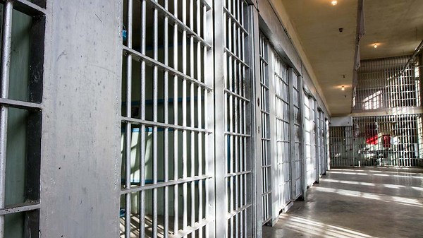 Greenville police: 11 arrested in child sex crime operation