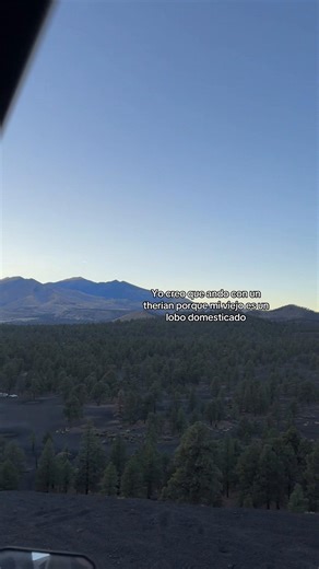 Exploring the Therian Community: What Does It Mean?