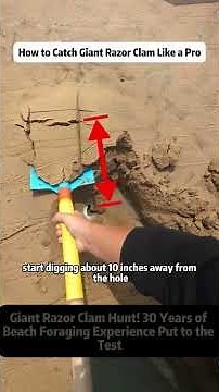 How to Catch Giant Razor Clam Like a Pro