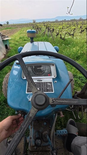 Ford 3000 Cold start #tractor #oldtractors #vintage #farming #agriculture #farmer