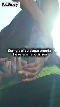 Interesting Facts about Police Officer #job #carrier