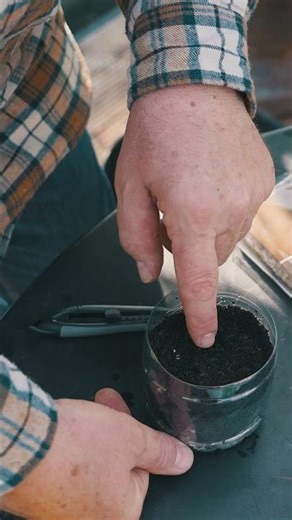 DIY mini-serre avec une bouteille plastique - Truffaut