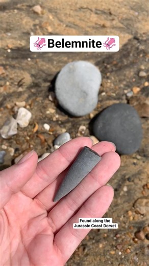 🦑Belemnite🦑