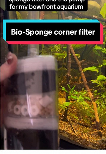 Transform Your Aquarium with Bio-Sponge Filters