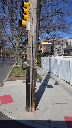 12K views · 414 reactions | Crossing Pelham Parkway on a realllyyyy quiet Sunday morning. The Bronx, USA. VIDEO: from The Bronx . . . #tbt #thebronx #bronx #fromthebronx #fromthebronxtotheworld #thebronxdoesitbetter #iamthebronx #wearethebronx #thebronxnyc #thebronxusa #nyctourism #whatsgoodnyc #pelhamparkway | from The Bronx | Facebook