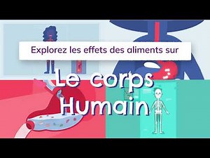 Les aliments et le corps humain
