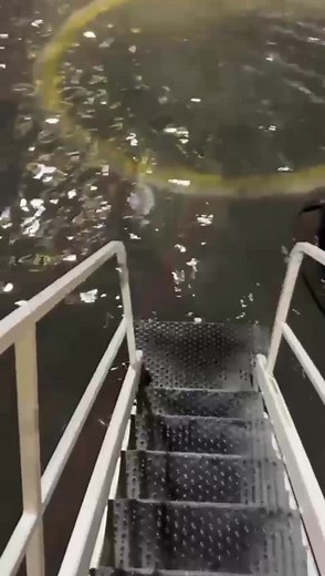 حسابات مقترحة