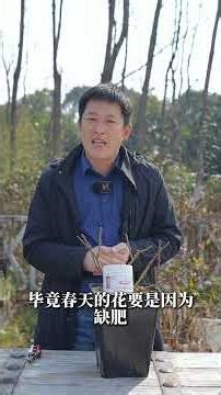 [Tianlang Talks About Roses] There are specific guidelines for fertilizing in early spring; be su...