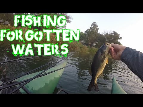 Public Pond Produces Good Fish ! | Emmarentia Dam Bass Fishing