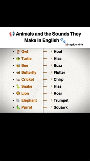 Speak English Like a Native! 🚀 #englishspeaking #speakconfident #learnenglish #spokenenglish