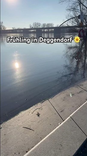 Deggendorf im Frühling: Donau tritt über die Ufer 🌼🌼🌼