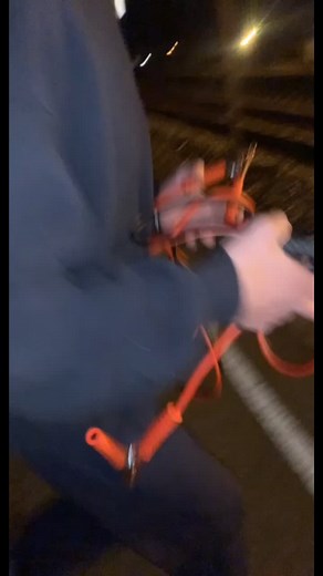 Understanding the Trump Train Movement