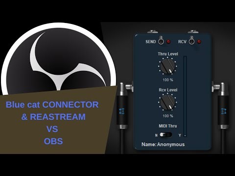 Reastream vs Connector Which is BEST for DAW to OBS Live Streams