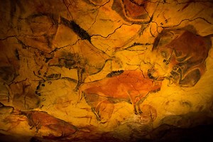 Ancient people may have created cave art while hallucinating