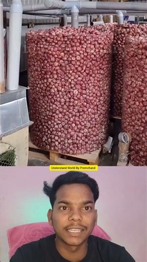 Pyaz 6 Mahine Tak Fresh! 🧅✨ #KitchenHacks #explorepage #viral #explain #explorer #trending
