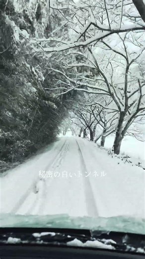 近隣の堤防、美しすぎた。ずっと走っていたくなる、白い世界。ここは春になると満開の桜トンネル。#オッさんの遊び図鑑#雪 #雪景色 #冬の絶景 #冬