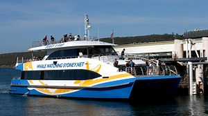 Sydney’s Manly ferry 'Freshwater' restored to duty