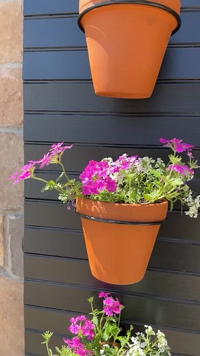 Michelle Bauer on TikTok