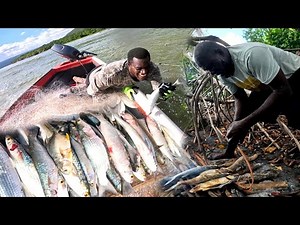 we went out on a massive net fishing as a beginner we make a massive catch