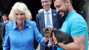 Queen Camilla's Visit to Battersea Dogs and Cats Home