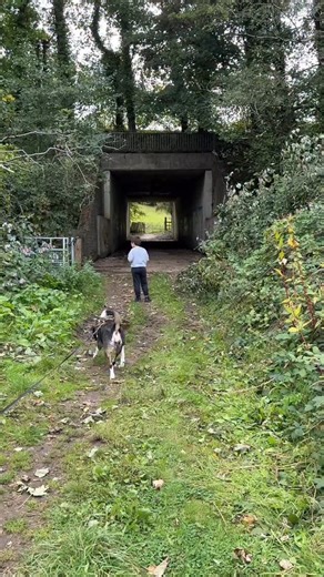 The Witches Tower, Pontyclun . Come with us to what is locally known as The Witches Tower, an 18th century, grade 2 listed building and one of the few surviving buildings connected to mining in this area. . The tower stands at 25 meters high and can be accessed via a right of way path across countryside. . It’s a nice little stroll with a dash of local history that’s not too long and close to both Llantrisant and Pontyclun. . You may encounter livestock so do keep your dog on a lead although we 