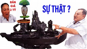 4.6M views · 37K reactions | Sự thật về ông chủ cây cảnh độc đáo nhất...