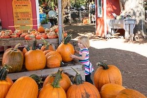 Oklahoma Fall Foliage and Festivals | TravelOK.com - Oklahoma's Official Travel & Tourism Site