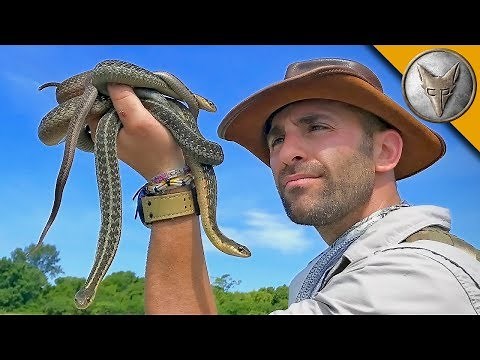 Return to Snake Island!
