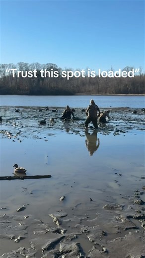 The Secrets of Successful Duck Hunting
