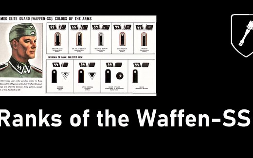 纳粹党卫军Waffen-SS的等级【HandGrenadeDivision】