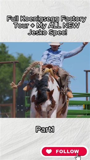 #dalembrisby #rodeotime #bullriding #cowboy | rodeo