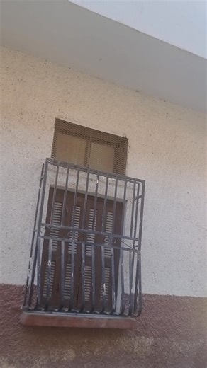 40K views · 308 reactions | https://www.facebook.com/share/v/17UwTwxt5i/ سكن للبيع ذو ثلاث واجهات ( troix façades) بالتجزئة رقم 02 (في "الهبطة" تاع المدخل الخلفي لعيادة " إبن النفيس" _ عريوة_وخلف مسجد مالك بن أنس (منصوري)) ، لأي إستفسار حول السكن يُرجى الإتصال على : 0696793360. | بوبكر وسيط عقاري بسدراتة | Facebook