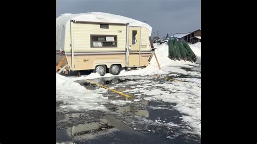 Stop by Tractor Supply and pick up a tree. It’s for the shop with a cop program! | Crawford County Sheriff's Office