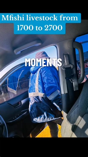 2025 Livestock Season Recap: Highlights and Insights