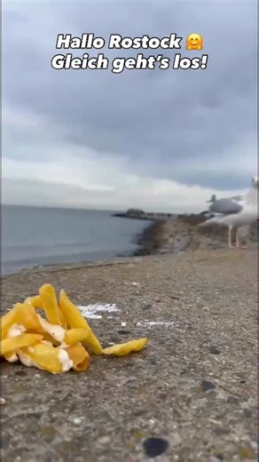 Project Pitchfork on Instagram