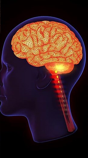 Reprogram Your Mind for Success