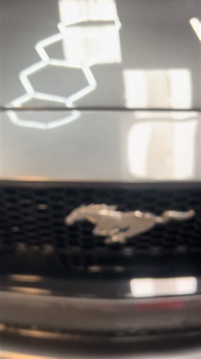 One step paint correction on a 2019 Mustang GT.