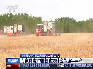 [新闻直播间]《中国农业产业发展报告2020》发布 专家解读：中国粮食为什么能连年丰产