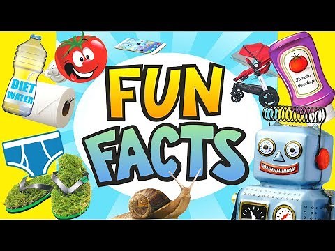 FUN FACTS - Weird Inventions