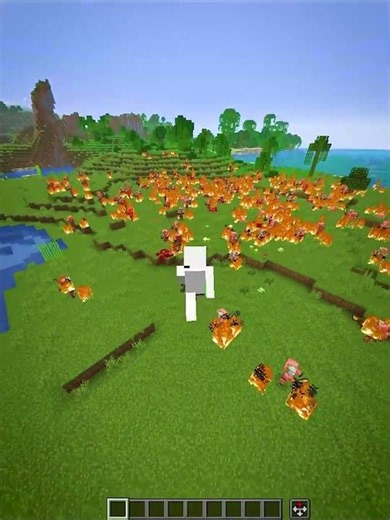 Minecraft illegal Commands🤯