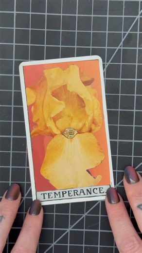 Stephanie Gilbert on Instagram: "15 days of creating a collage art tarot card until I’ve created an entire deck! Today’s card is Temperance. It represents patience, moderation, harmony & balance. Finding a middle ground in situations where many options are present at once. It’s also card of alchemy - blending together elements to create something new. It can symbolize bringing balance to your emotions, staying composed during stressful times. Following the Death card it can represent finding pea