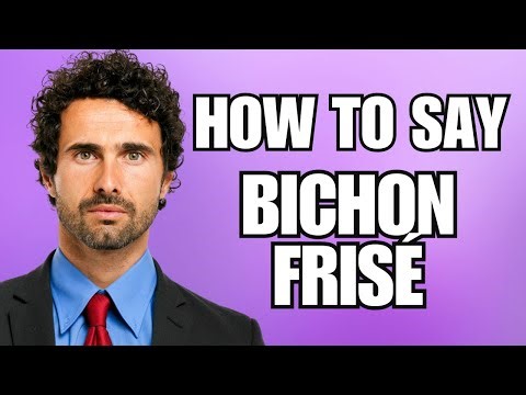 How To Pronounce Bichon Frisé (Correctly)