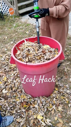 DIY Leaf Mulch Hack for the Garden 🍁🍂