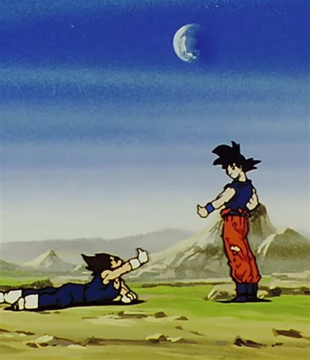 Goku & Vegeta Birthday Celebration Post