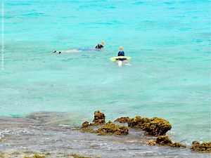 Snorkeling at 1000 Steps Reef | Shore snorkeling in Bonaire